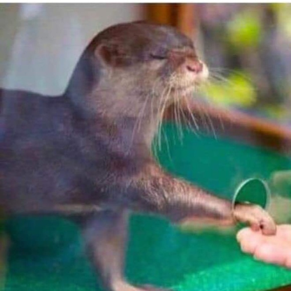 Meet your Posher, Jaymie - Picture 1 of 1